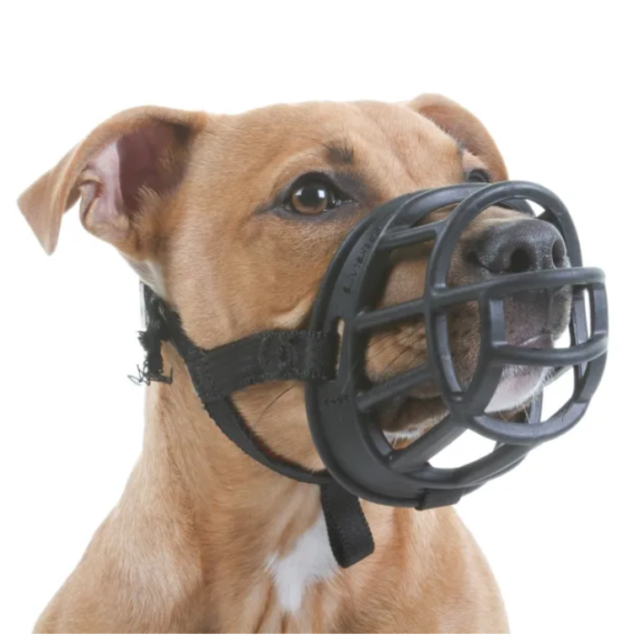 Bozal para perros