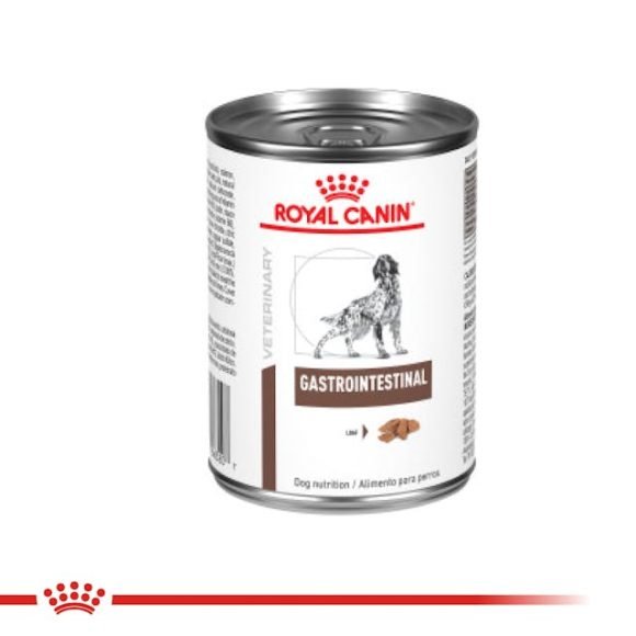 Royal Canin - Gastrointestinal Húmedo 385gr