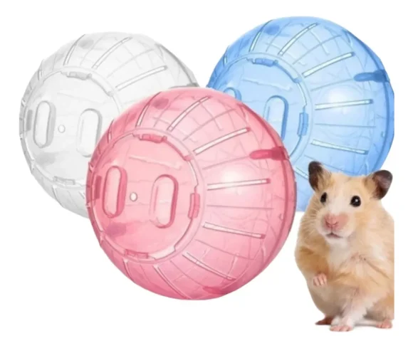 Bola esfera Hamster y/0 Roedores