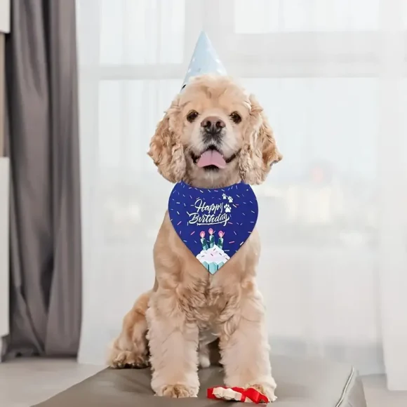 Pañuelo Feliz Cumpleaños Bandanas