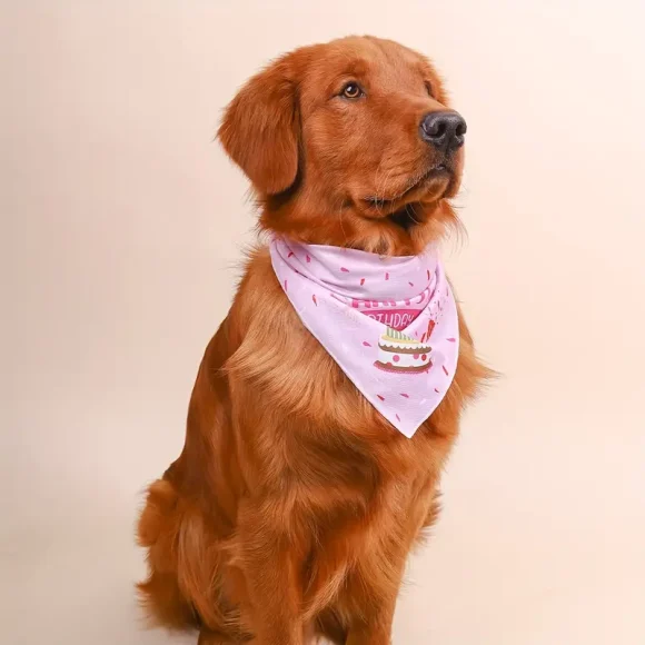 Pañuelo Feliz Cumpleaños Bandanas - Imagen 4